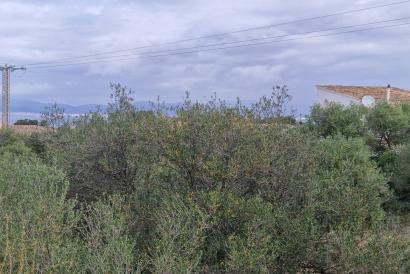 Terrain pour construire une maison avec vue sur la mer, Bellavista, Cap Enderrocat, Llucmajor.