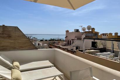 Charming renovated attic studio-apartment, private used terrace, sea views, Palma Old Town