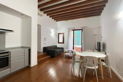 Elegant one bedroom furnished apartment next to Paseo Borne, Palma